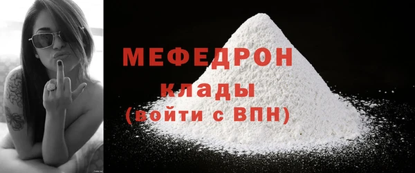 стаф Каменка