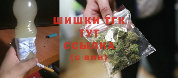 СК Богородск