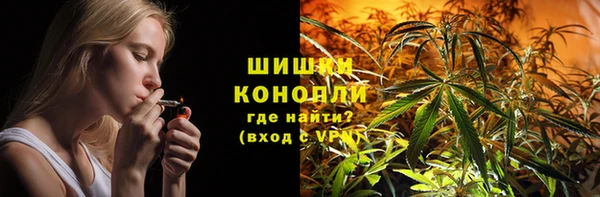 СК Богородск