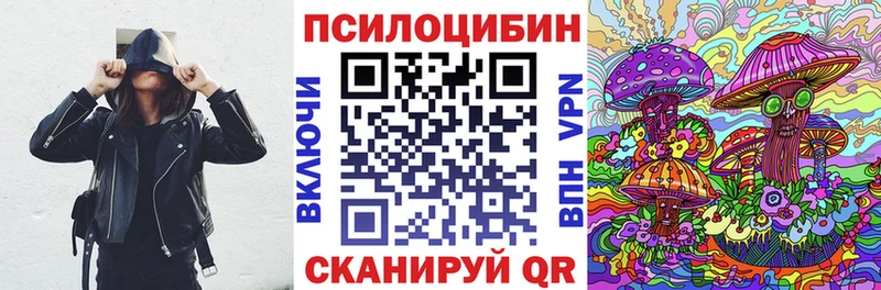 Псилоцибиновые грибы Cubensis  мориарти какой сайт  Среднеуральск 